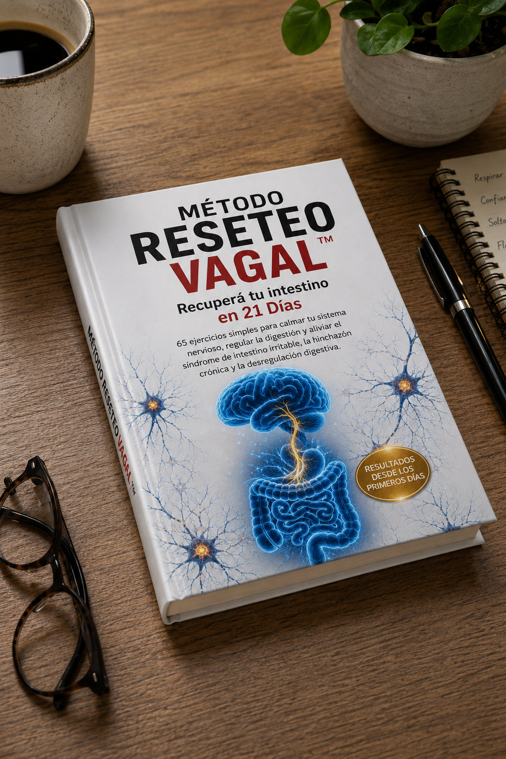 Método Reseteo Vagal™ — Eje Cerebro-Intestino